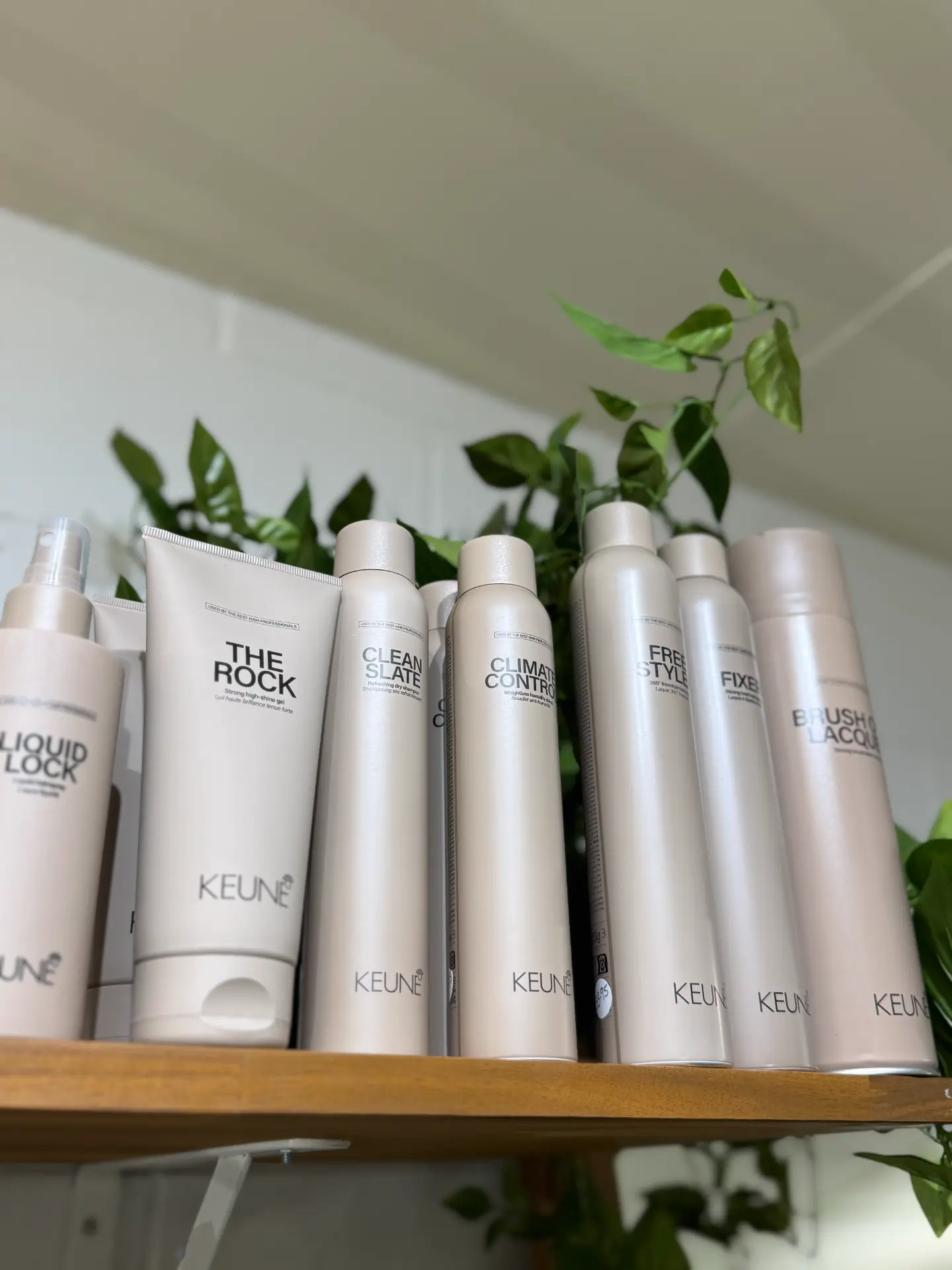 Blonde care shampoo available at our Proserpine hair salon